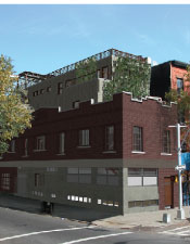 Green Grows in Brooklyn: Part II Image